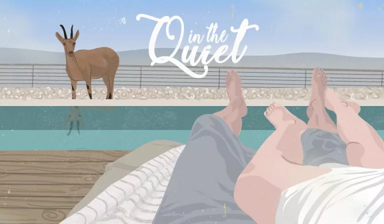 in the quiet